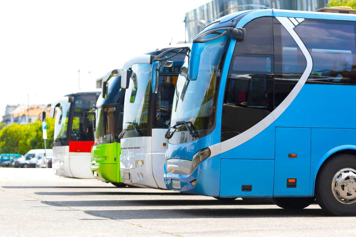Grupo Comporte: Inovações e Destaques no Mercado de Ônibus