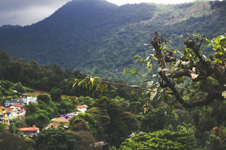 As Melhores Atrações para se Conhecer em Monte Verde MG