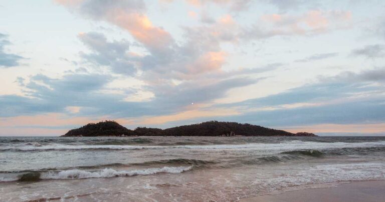 Ilha do Campeche Encanta Visitantes e Se Consolida como Tesouro Natural de Florianópolis
